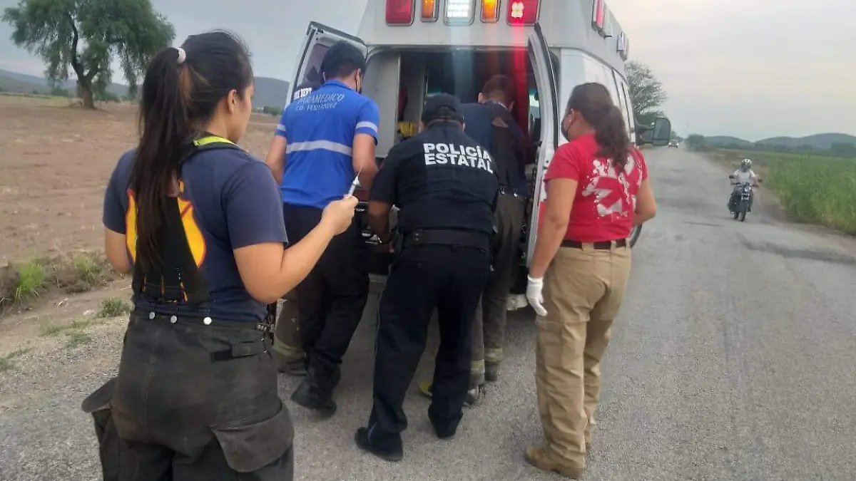 policias se llevan a mujer picada por abejas